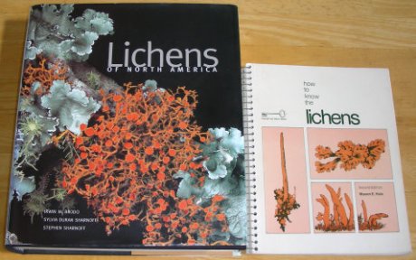 Lichen Books